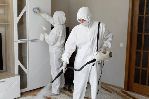 Best Commercial Mold Removal  in Kittitas, WA
