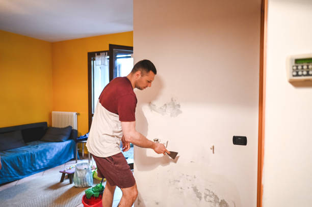 Best Same-Day Mold Removal  in Kittitas, WA